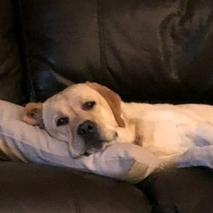 Meet your Posher, Candice